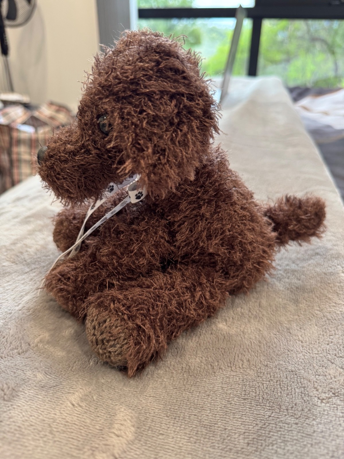 Adopt a Dog - Brody - 16cm - Image 3