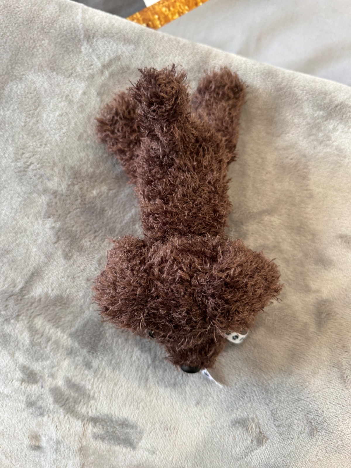 Adopt a Dog - Brody - 16cm - Image 4