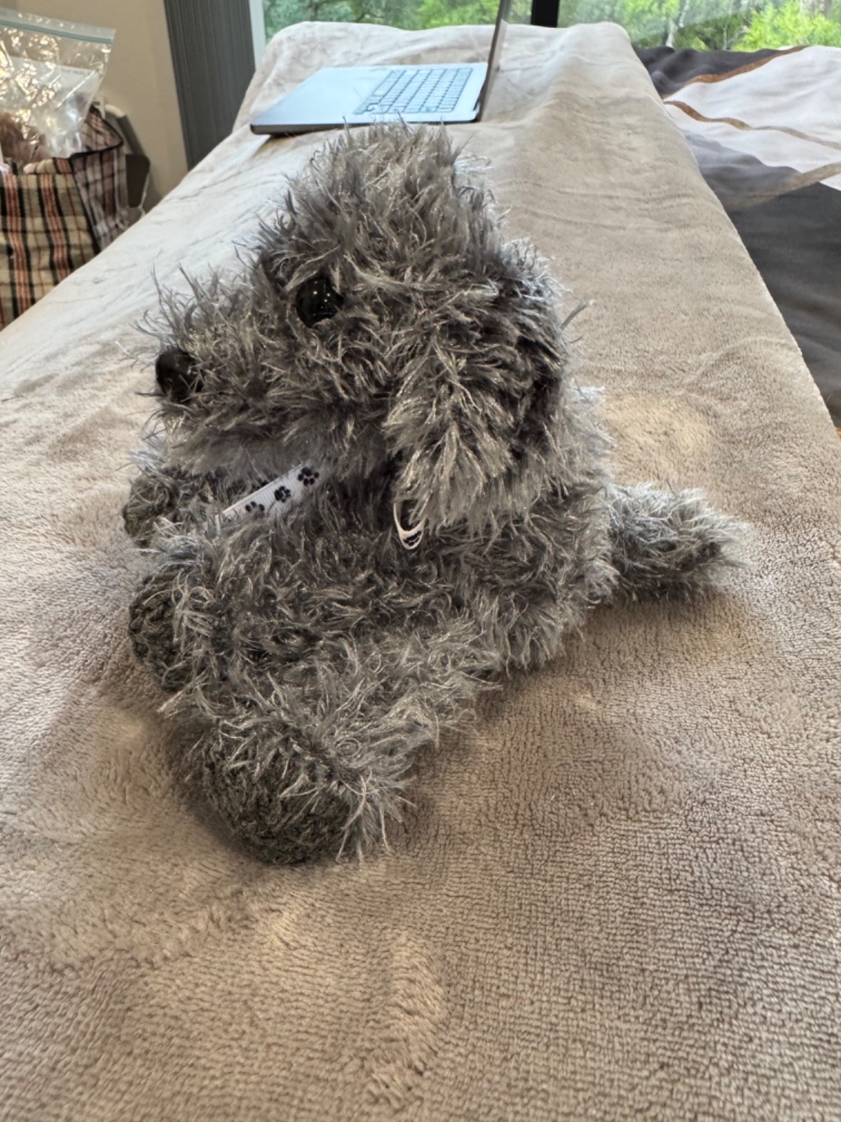 Adopt a Dog - Louie - 14cm - Image 3