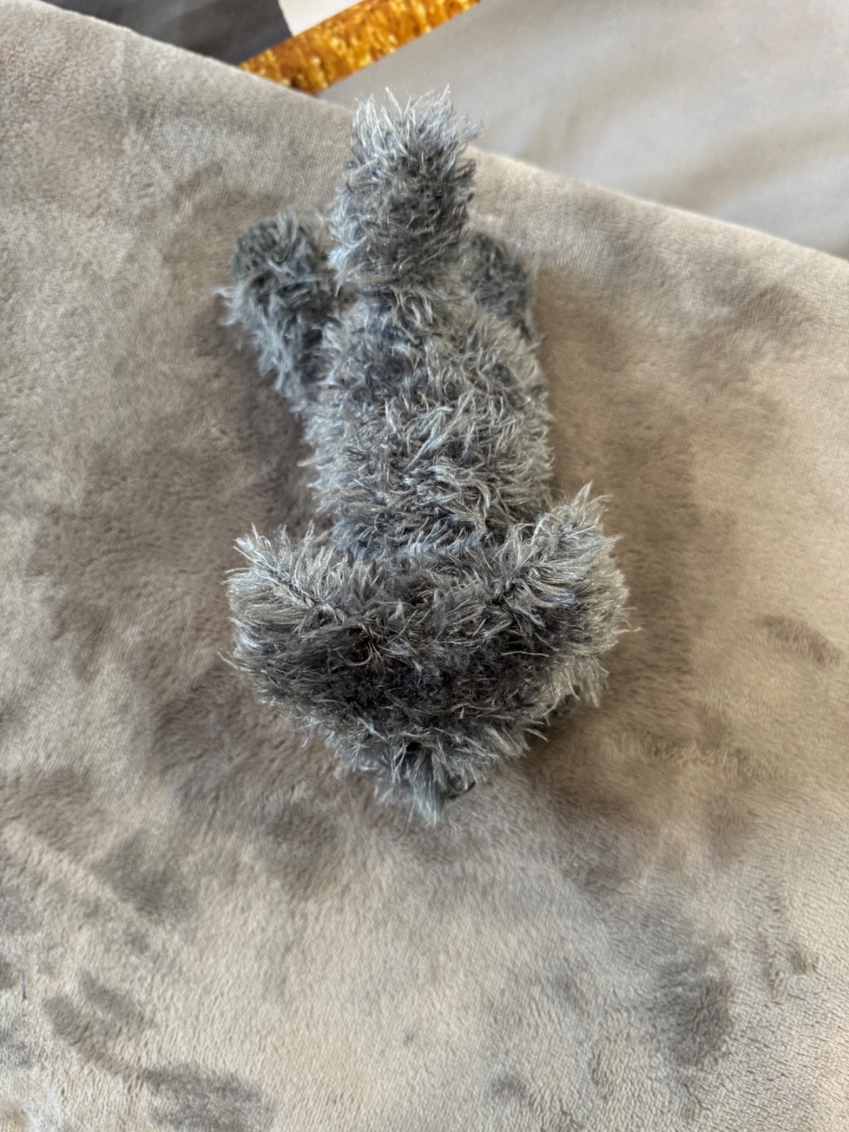 Adopt a Dog - Louie - 14cm - Image 4