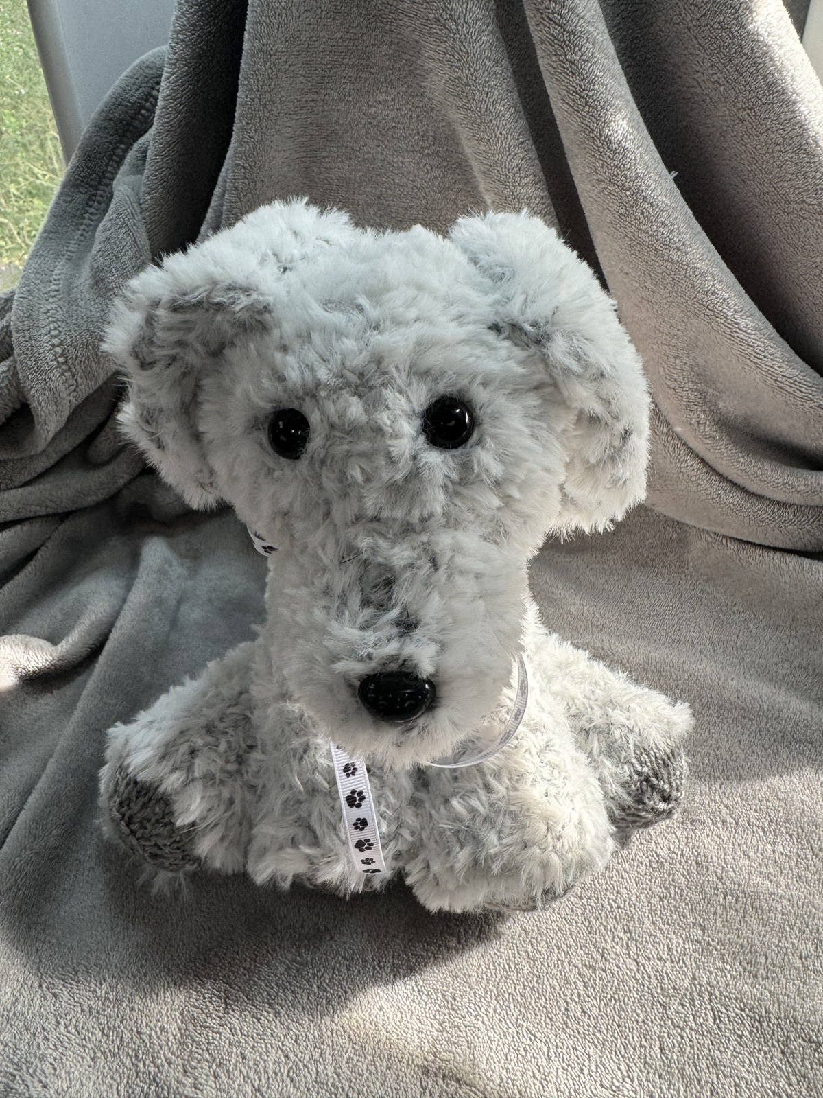 Adopt a Dog - Koala - 20cm - Image 2