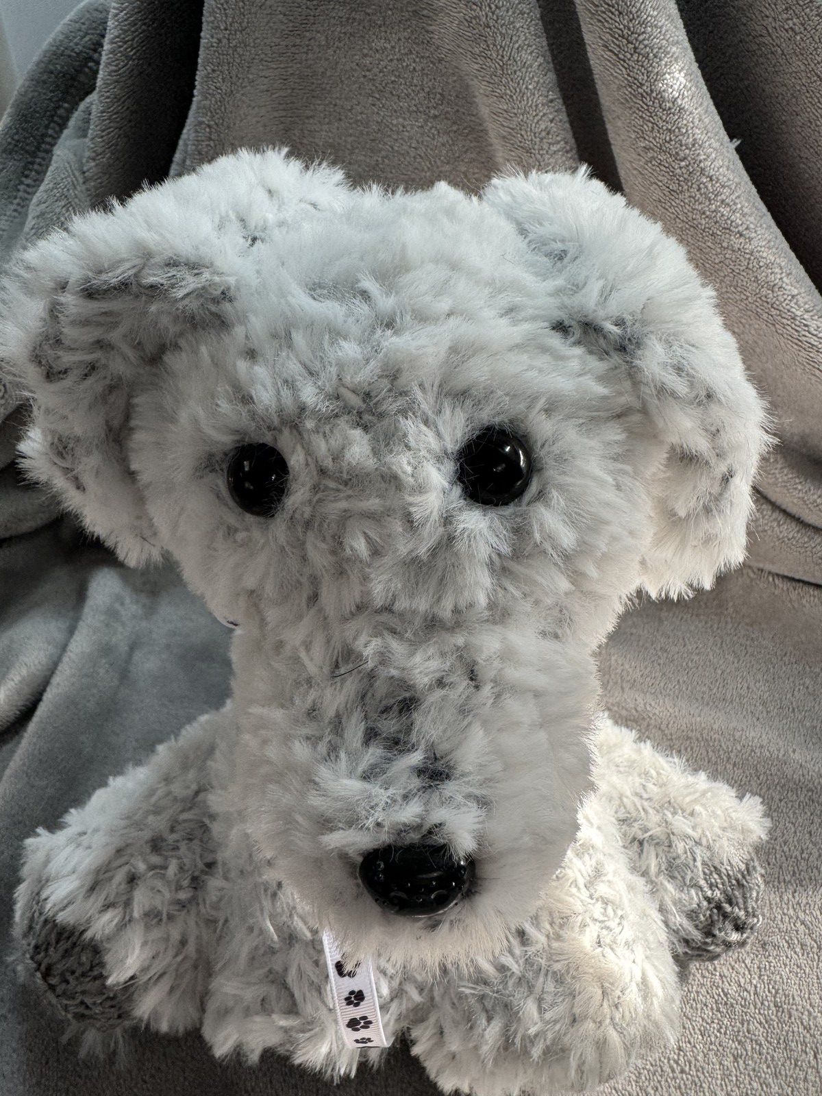 Adopt a Dog - Koala - 20cm - Image 3