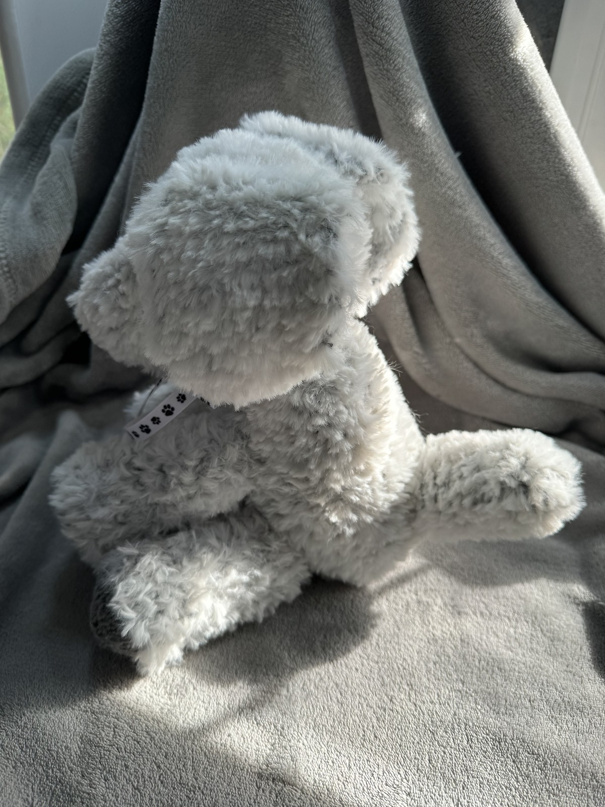 Adopt a Dog - Koala - 20cm - Image 4
