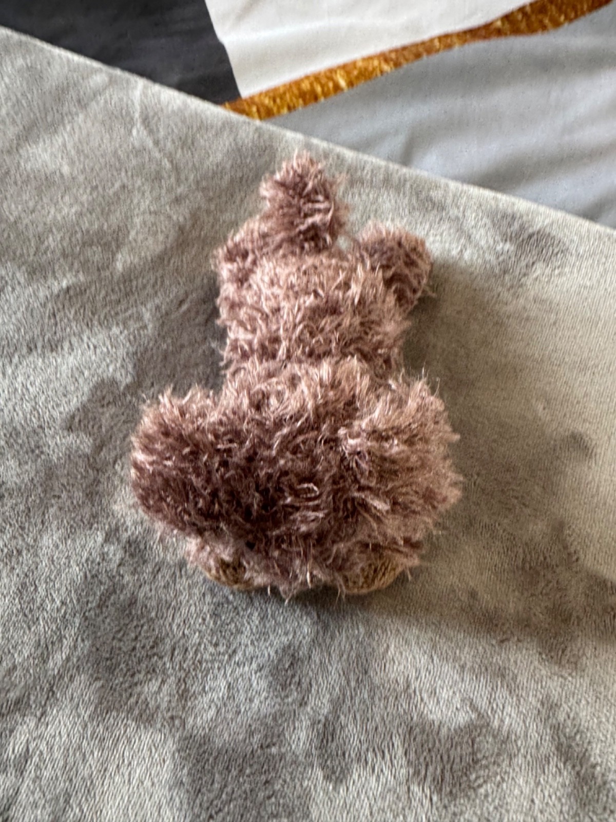 Adopt a Dog - Dash - 14cm - Image 4