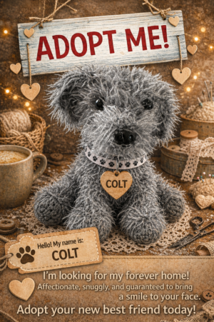Adopt a Dog - Colt - 14cm
