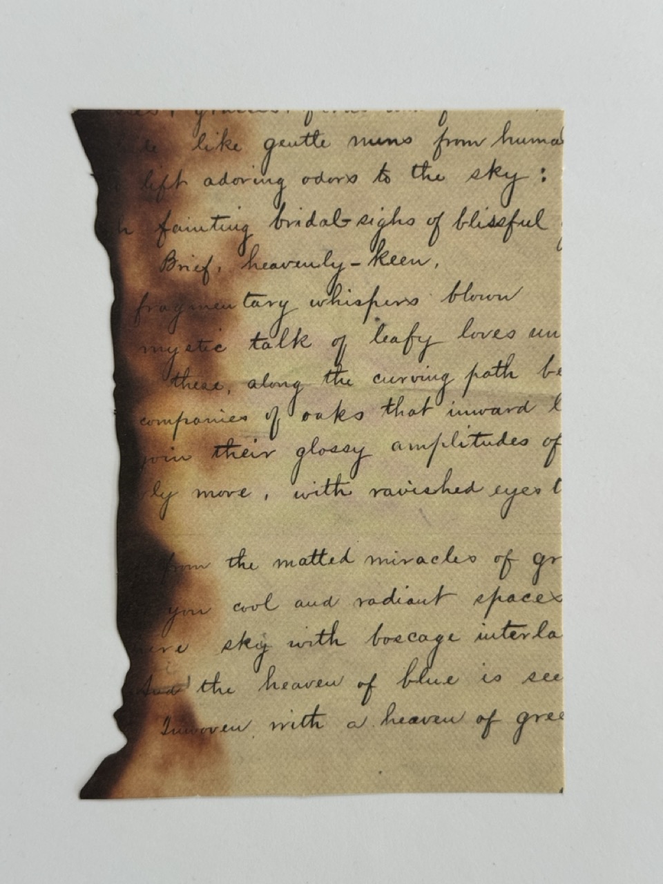 10cm x 14cm Paper - Burnt Pages Whispers Blown