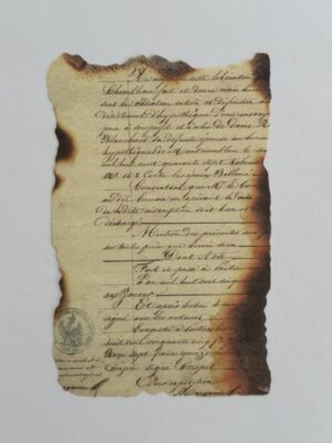 9cm x 14cm Paper - Burnt Pages Seal of Approval
