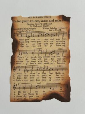 10cm x 14cm Paper - Burnt Pages Raise Your Voices