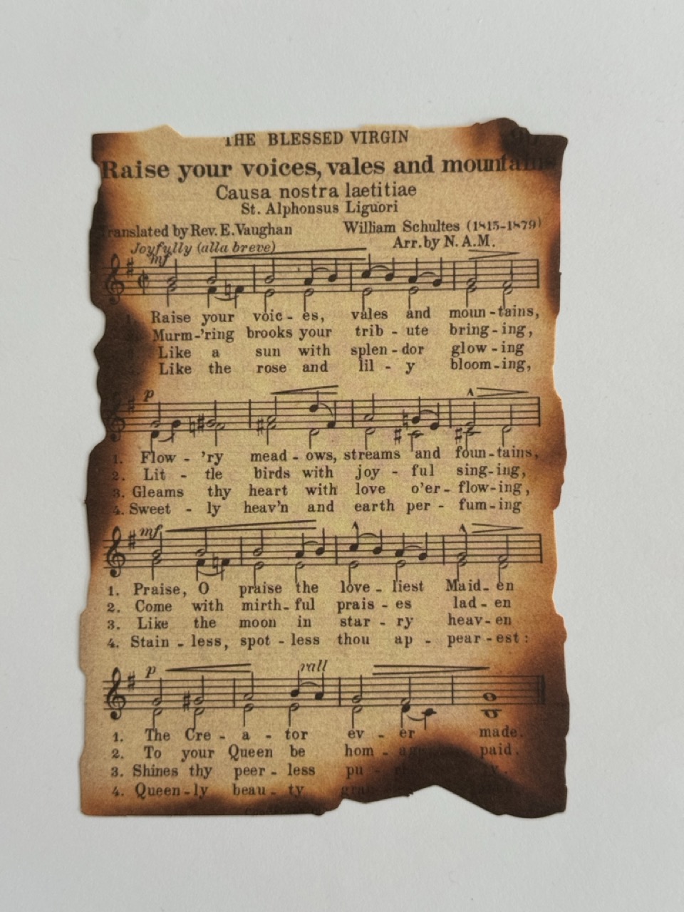 10cm x 14cm Paper - Burnt Pages Raise Your Voices