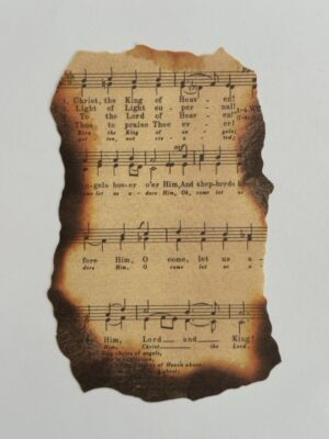 9cm x 14cm Paper - Burnt Pages Raise Your Voices (Copy)