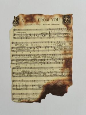 10cm x 14cm Paper - Burnt Pages A Rose From You