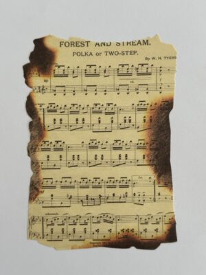 10cm x 14cm Paper - Burnt Pages Forest and Stream