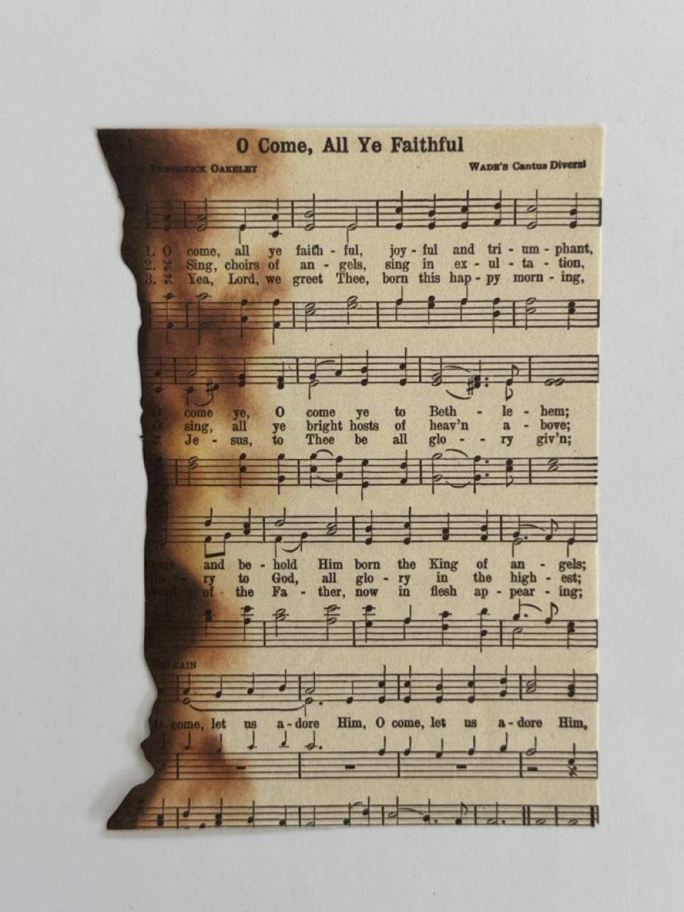 10cm x 14cm Paper - Burnt Pages O Come, All Ye Faithful