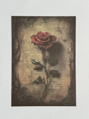 14cm x 10cm Paper - Rose and Writing