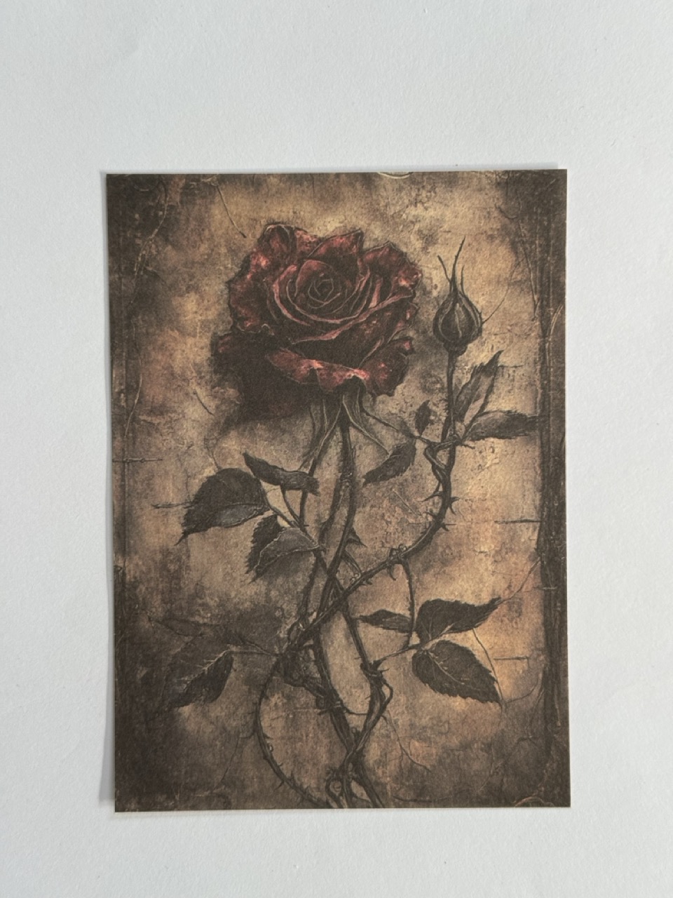 14cm x 10cm Paper - Rose
