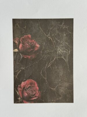14cm x 10cm Paper - Two Roses