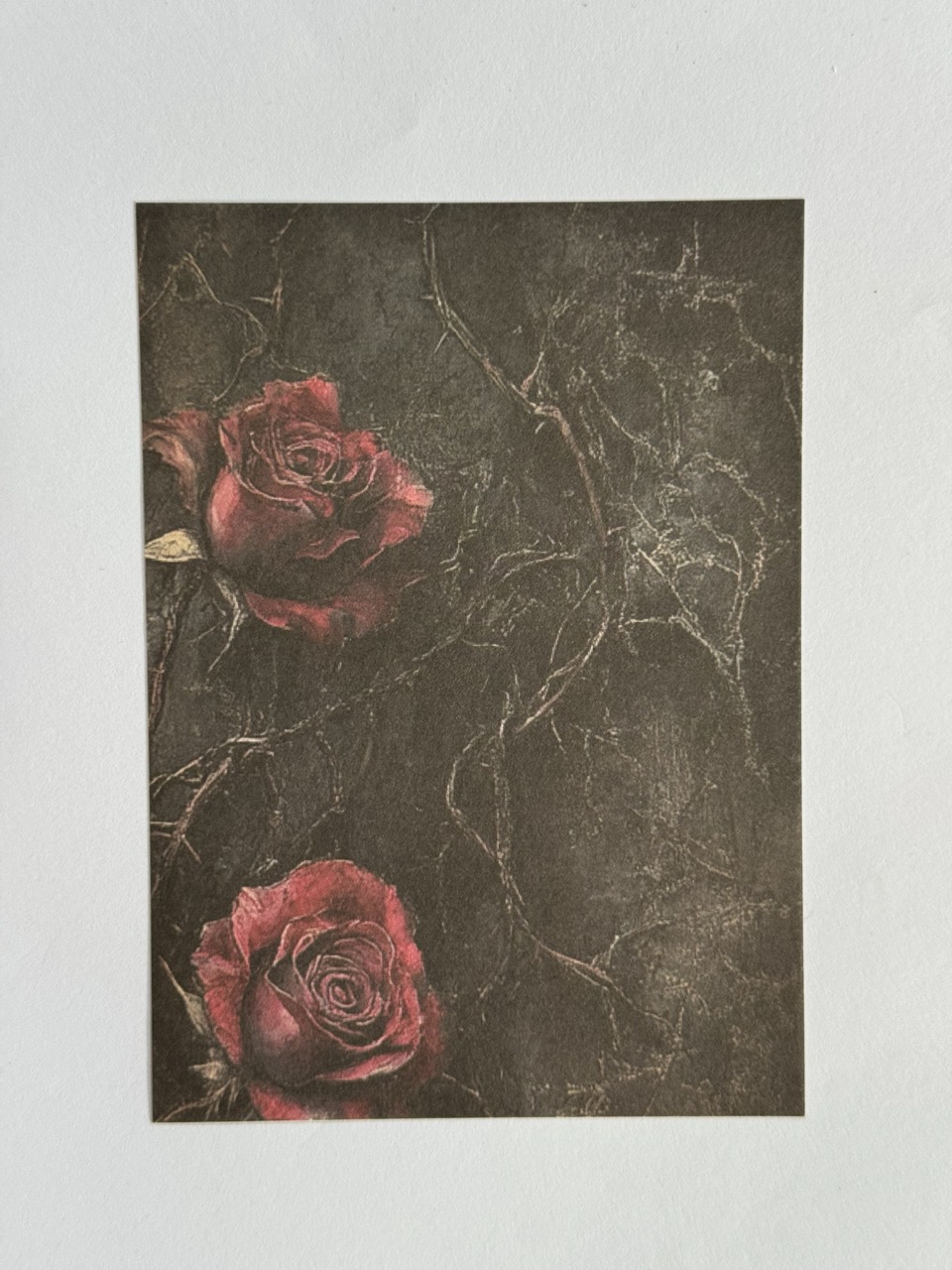 14cm x 10cm Paper - Two Roses