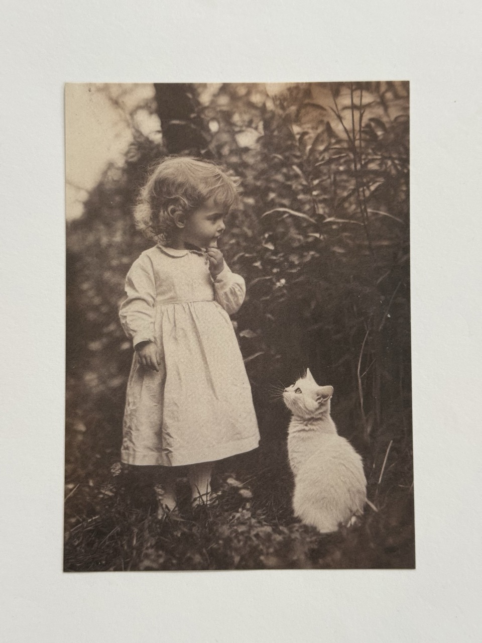 14cm x 10cm Paper - Vintage Girl and Cat