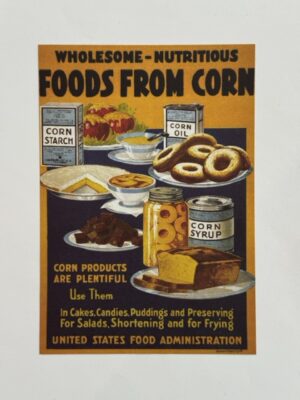 17cm x 12cm Paper - Foods From Corn