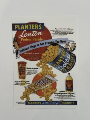 17cm x 12cm Paper - Planters