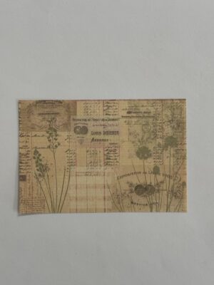 14cm x 10cm Paper - 1905