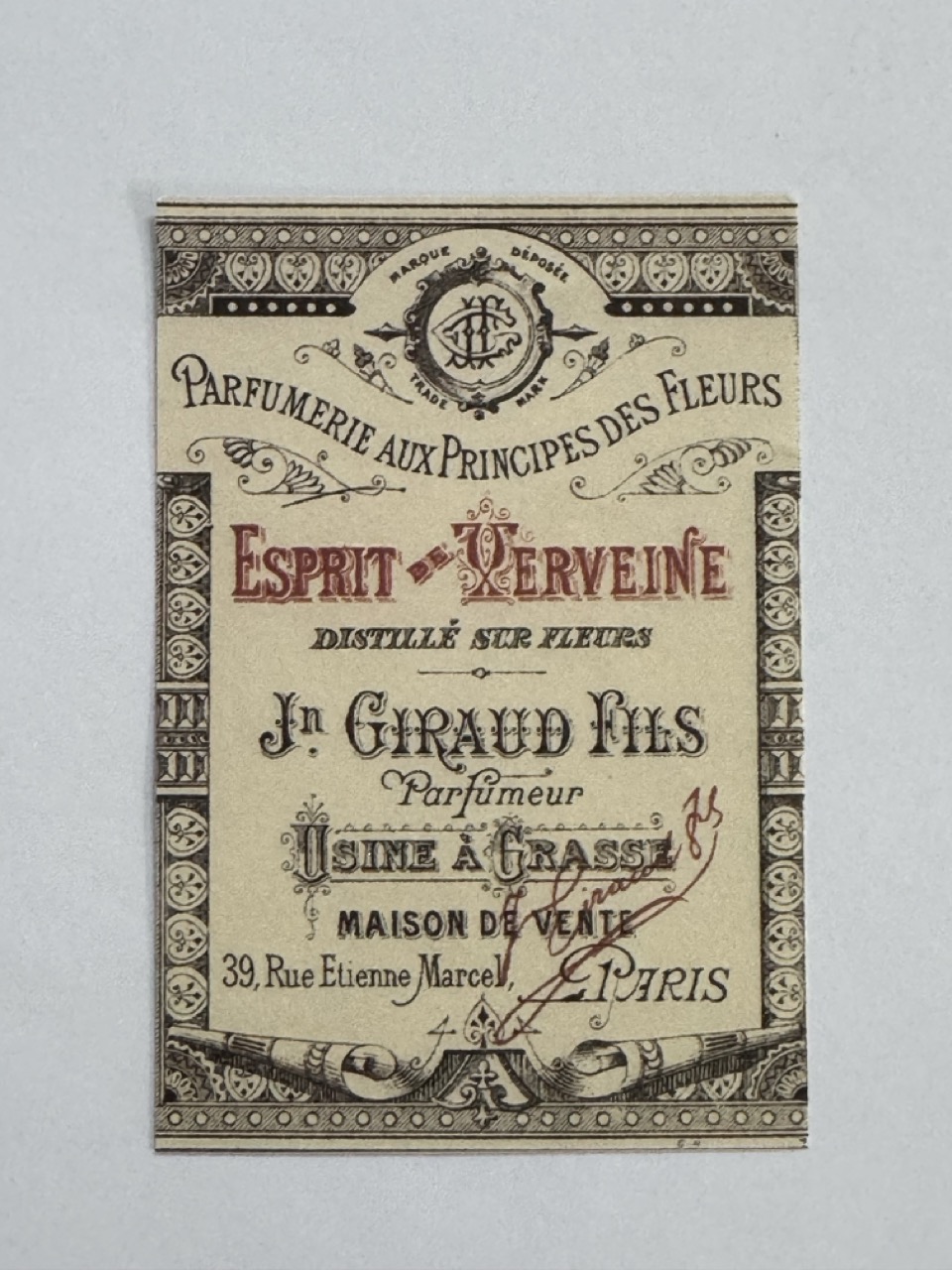 14cm x 10cm Paper - Esprit De Xerveine