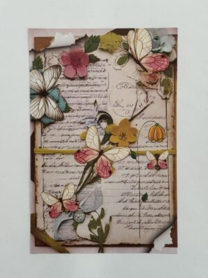 21cm x 14cm Paper - Butterflies