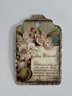 7cm x 4.5cm - Flower The Almond