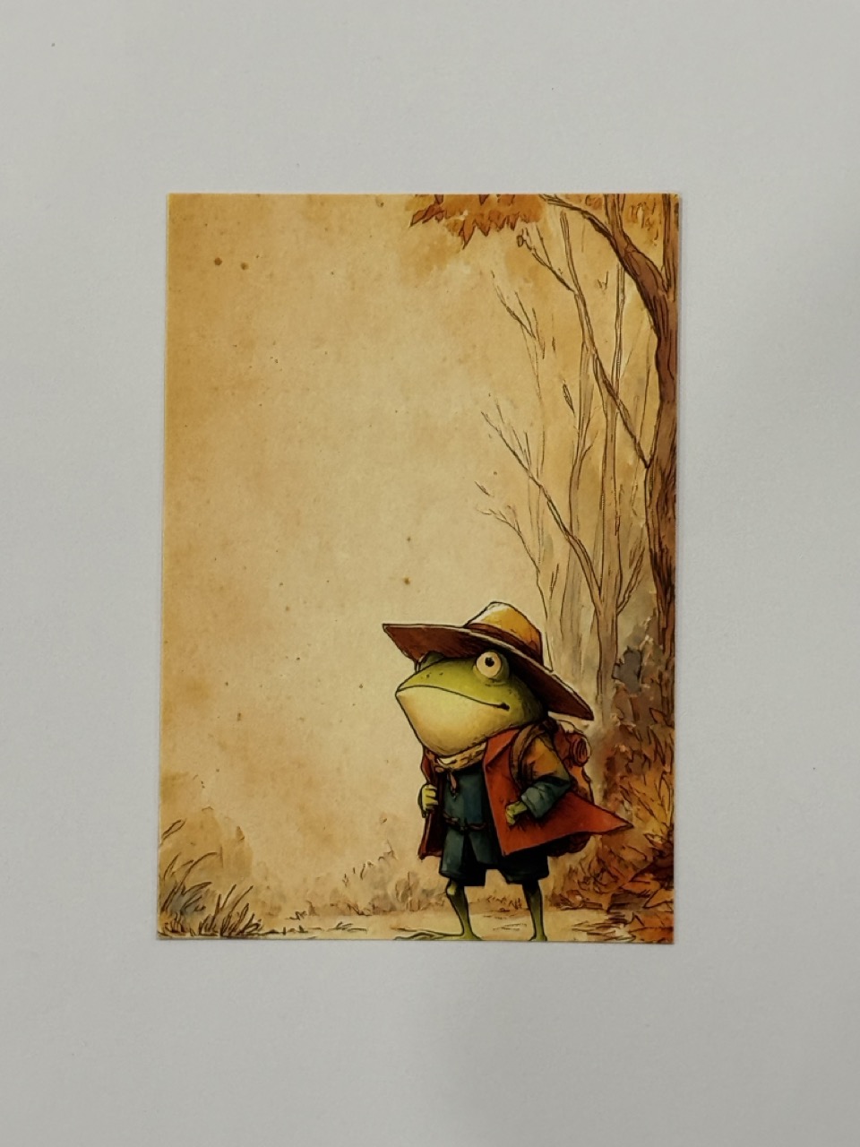 14.5cm x 10cm Post Card - Adventure Frog