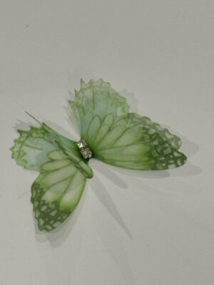 Green Butterfly