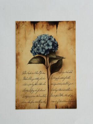 14.5cm x 10cm Post Card -  Hydrangea Flower