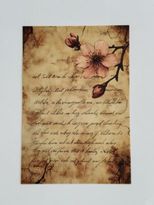 14.5cm x 10cm Post Card -  Cherry Blossom Flower