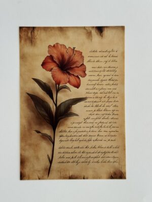 14.5cm x 10cm Post Card - Hibiscus Flower