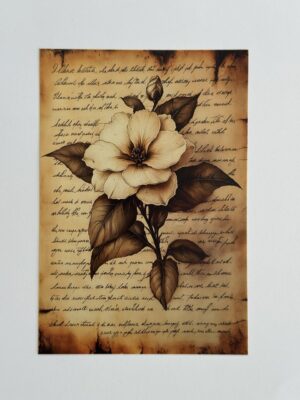 14.5cm x 10cm Post Card - Camellia Flower