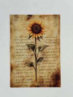 14.5cm x 10cm Post Card - Sunflower