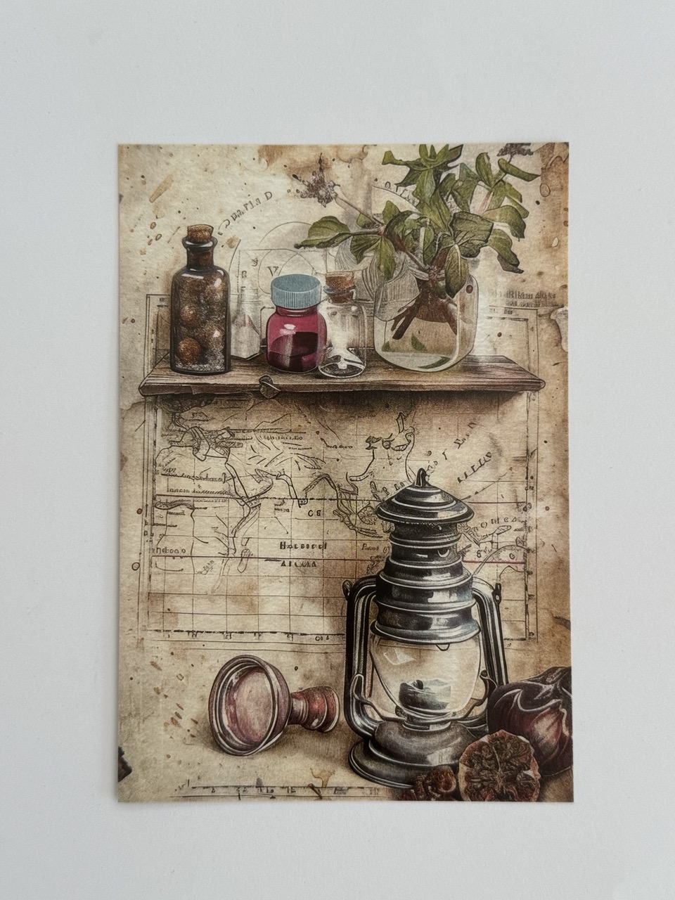 14.5cm x 10cm Post Card - Herbs