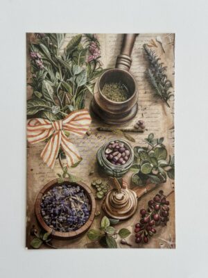 14.5cm x 10cm Post Card - Herbs