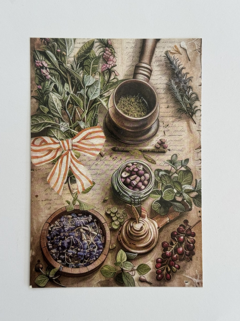 14.5cm x 10cm Post Card - Herbs