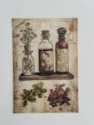 14.5cm x 10cm Post Card - Herbs