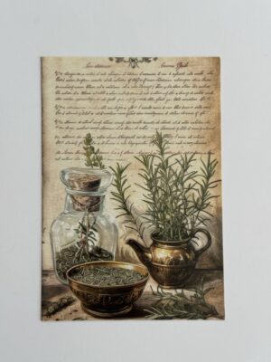 14.5cm x 10cm Post Card - Herbs