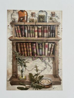 14.5cm x 10cm Post Card - Herbs