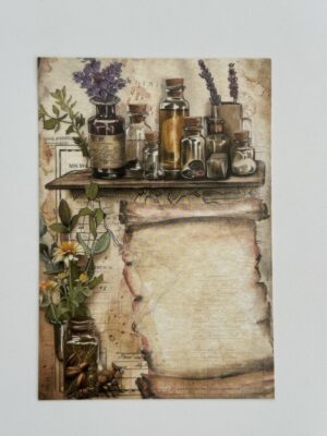 14.5cm x 10cm Post Card - Herbs