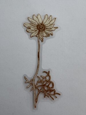 9.5cm x 4cm - PET Flower Sticker
