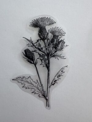 9cm x 6cm - Elegant Floral Outline PET Stickers