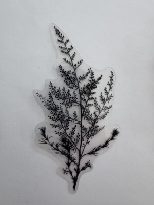 11cm x 5.5cm - Elegant Floral Outline PET Stickers