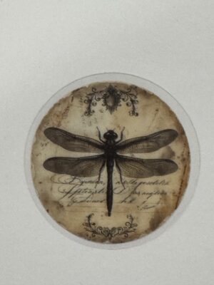 5cm x 5cm - Vintage-Inspired Transparent PET Stickers - Dragon Fly