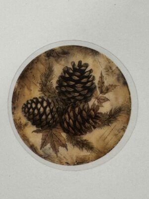 5cm x 5cm - Vintage-Inspired Transparent PET Stickers - Pinecones