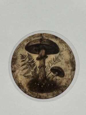 5cm x 5cm - Vintage-Inspired Transparent PET Stickers - Mushrooms