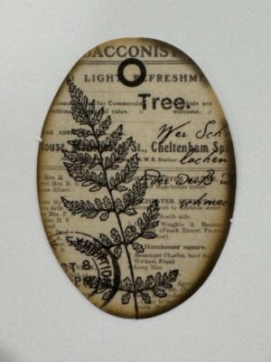 5.25cm x 3.5cm - Vintage Botanical Ephemera Sticker