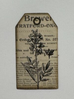 5.5cm x 3cm - Vintage Botanical Ephemera Sticker